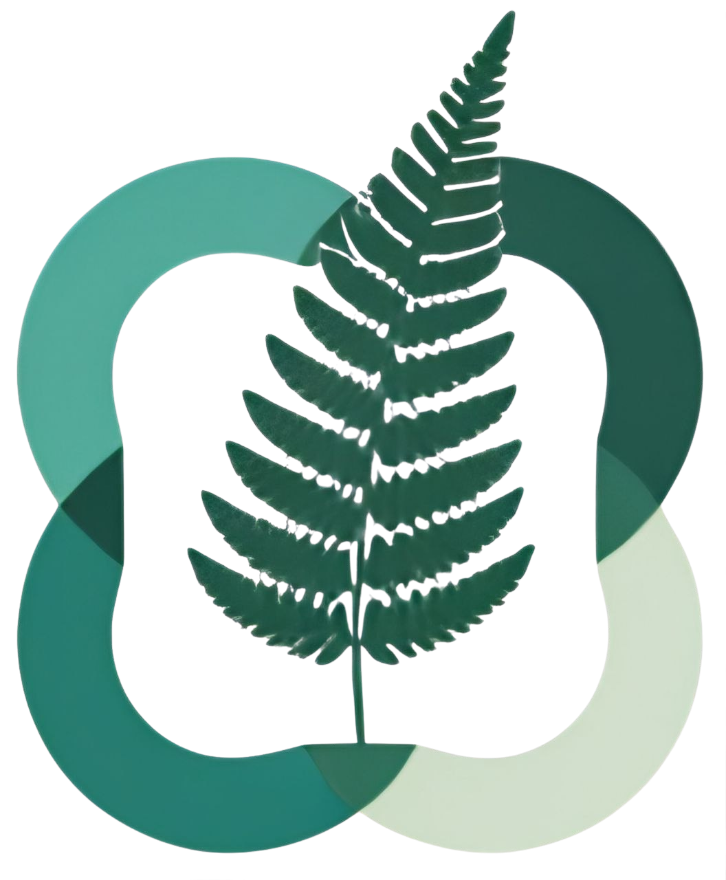 United Community Foundation